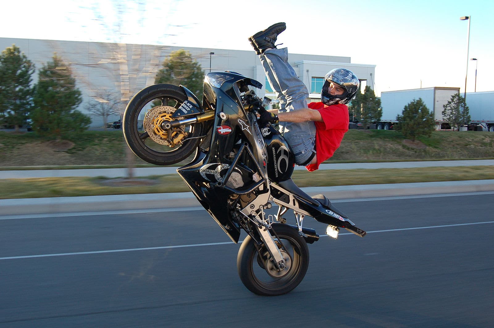 Squid Motorcycle Rider